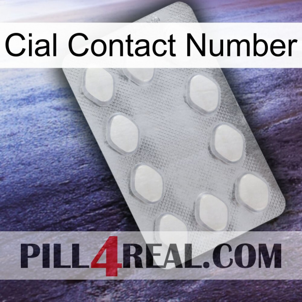 Cial Contact Number 16.jpg